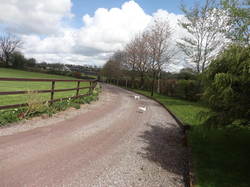 Westwood Country House Blarney Exterior foto